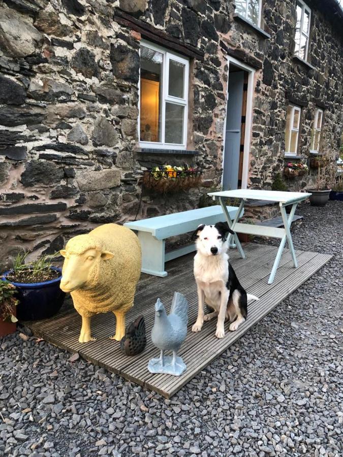 Llangynog Bryn Glas Walesヴィラ エクステリア 写真